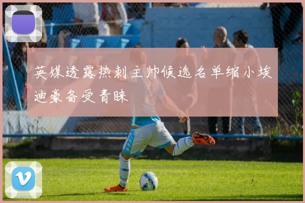 英媒透露热刺主帅候选名单缩小埃迪豪备受青睐